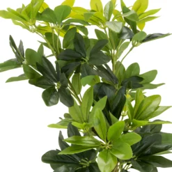SCHEFFLERA - Kunstpflanze Grün