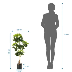 SCHEFFLERA - Kunstpflanze Grün