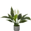 Spathiphyllum 1 - Kunstpflanze Grün