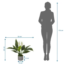 Spathiphyllum 1 - Kunstpflanze Grün