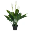 SPATHIPHYLLUM - Kunstpflanze Grün/Weiß