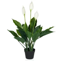 SPATHIPHYLLUM - Kunstpflanze Grün/Weiß