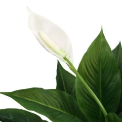SPATHIPHYLLUM - Kunstpflanze Grün/Weiß