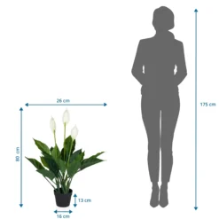SPATHIPHYLLUM - Kunstpflanze Grün/Weiß
