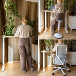 STAND BASIC - Elektrisch höhenverstellbarer Schreibtisch 120 x 60 Weiß/Eiche