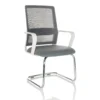 VISITER W - Freischwinger Grau