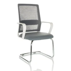 VISITER W - Freischwinger Grau