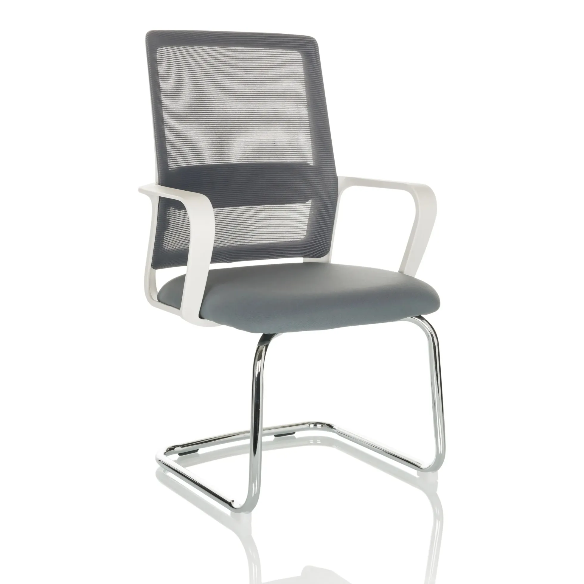 VISITER W - Freischwinger Grau