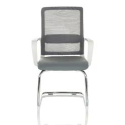 VISITER W - Freischwinger Grau