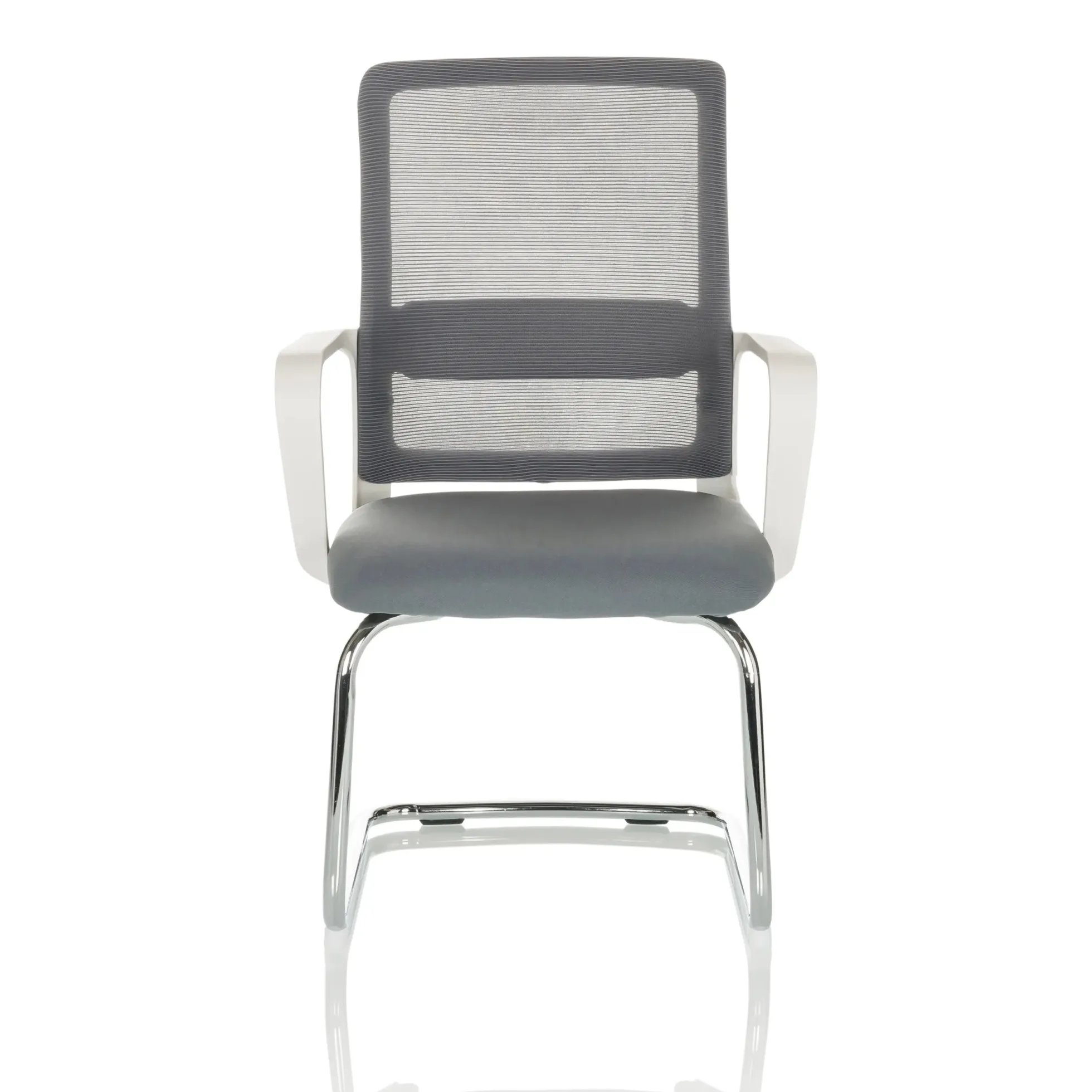 VISITER W - Freischwinger Grau
