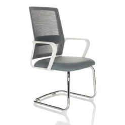 VISITER W - Freischwinger Grau