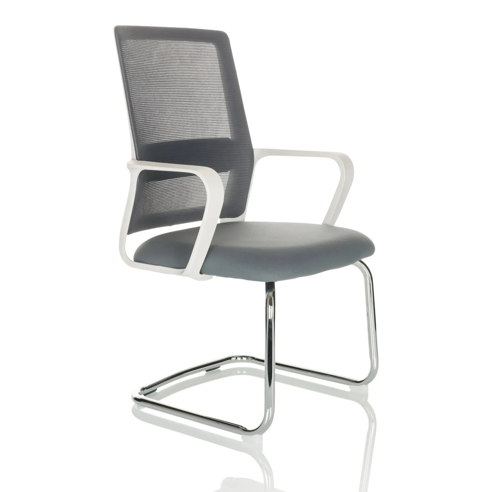 VISITER W - Freischwinger Grau