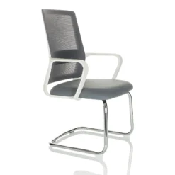 VISITER W - Freischwinger Grau