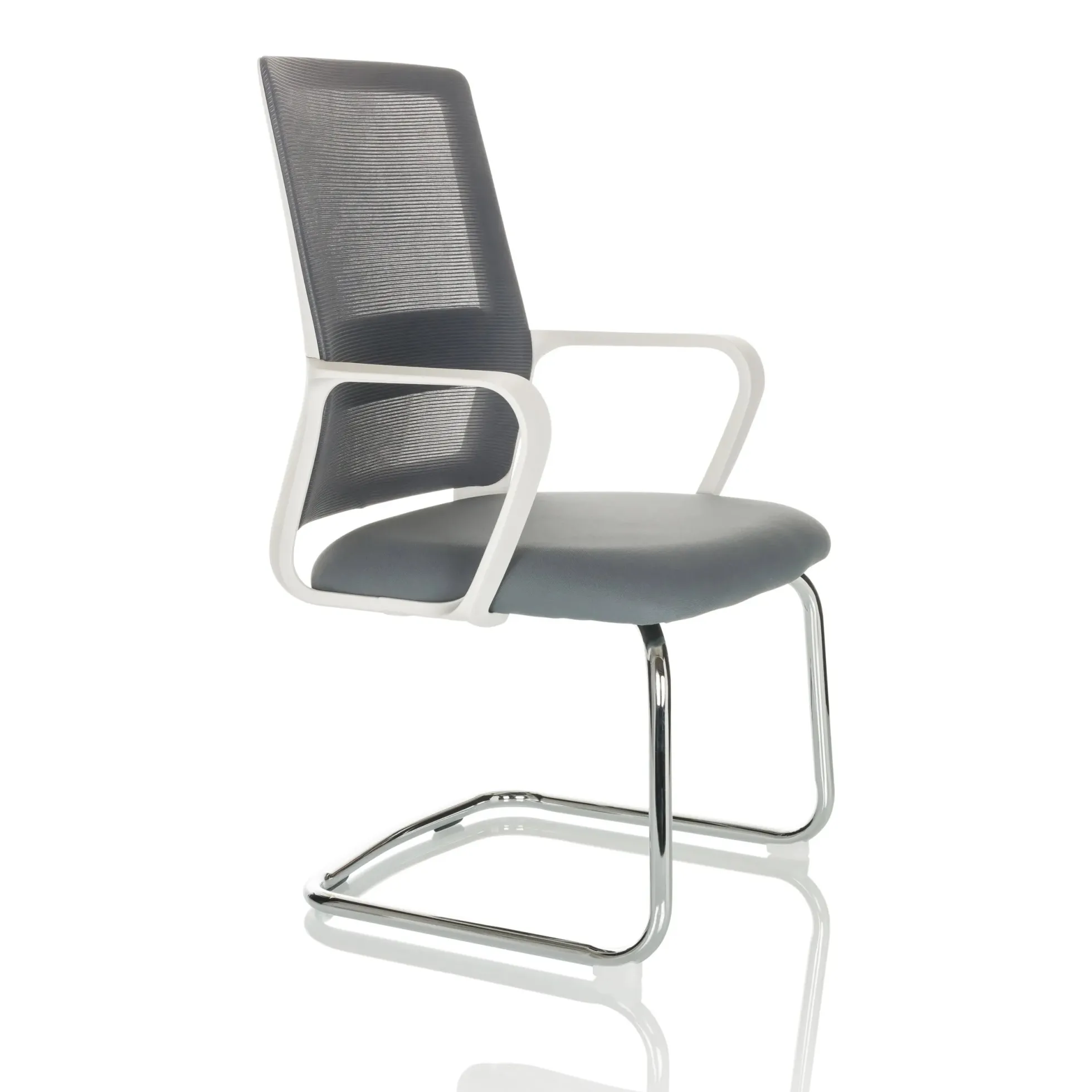 VISITER W - Freischwinger Grau