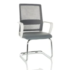 VISITER W - Freischwinger Grau