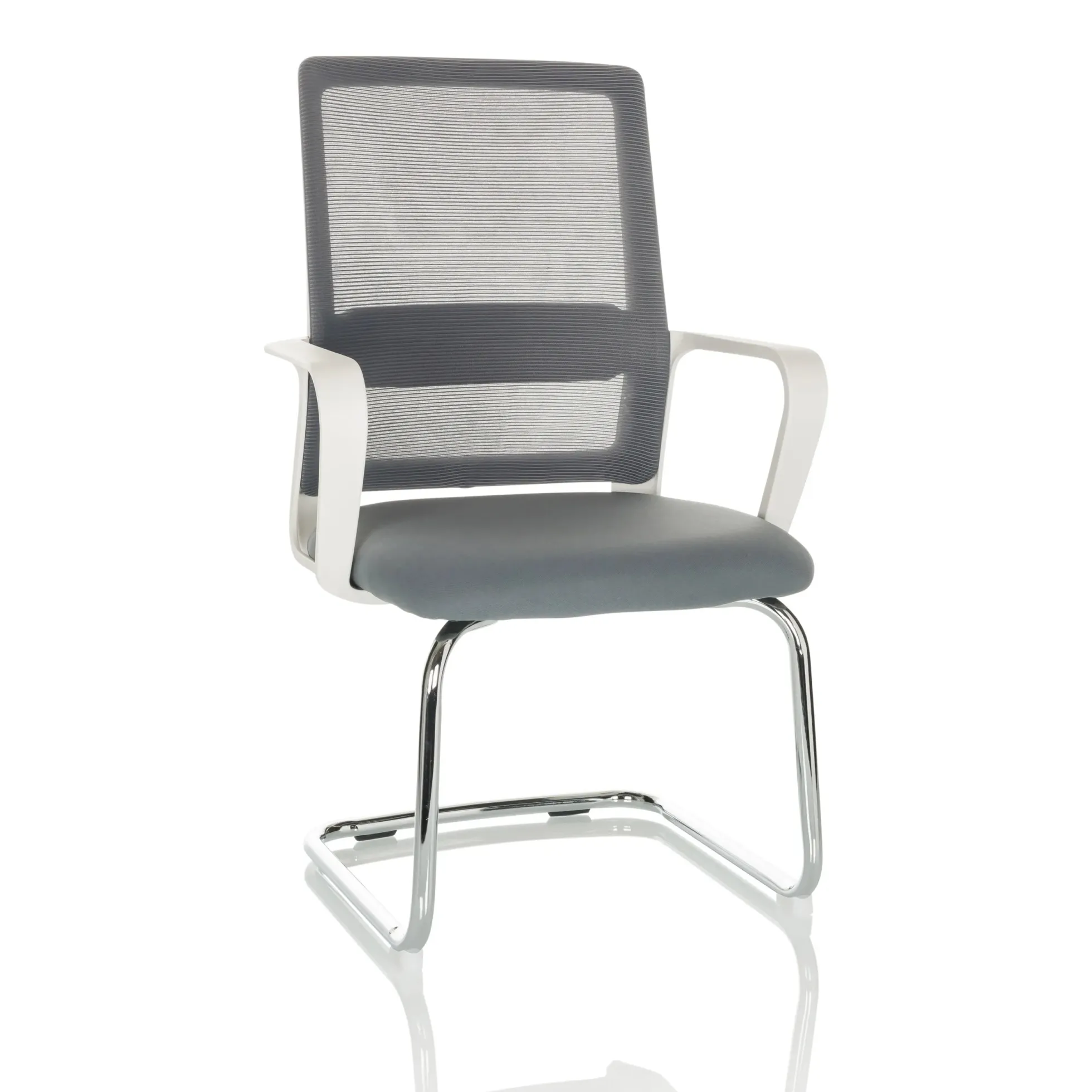 VISITER W - Freischwinger Grau