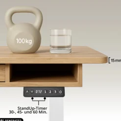 Worktime Style | 120x60 - Elektrisch höhenverstellbarer Schreibtisch Eiche/Weiß