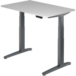 XBHM 12 GG | Schreibtisch 120 x 80 elektrisch höhenverstellbar Grau