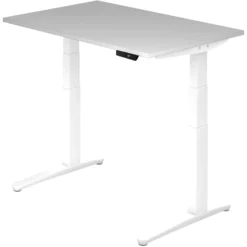 XBHM 12 WW | Schreibtisch 120 x 80 elektrisch höhenverstellbar Grau