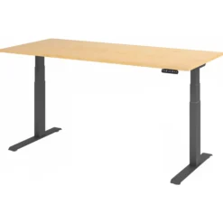 XDKB 19 G | Schreibtisch Ahorn