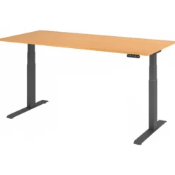 XDKB 19 G | Schreibtisch Buche