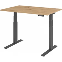 XDKB 12 G | Schreibtisch 120 x 80 elektrisch höhenverstellbar Asteiche
