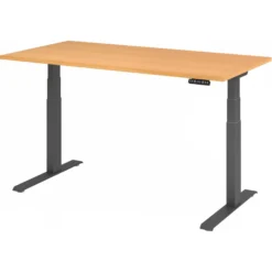 XDKB 16 G | Schreibtisch 160 x 80 elektrisch höhenverstellbar Buche