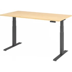 XDKB 16 G | Schreibtisch 160 x 80 elektrisch höhenverstellbar Ahorn