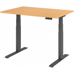 XDKB 12 G | Schreibtisch 120 x 80 elektrisch höhenverstellbar Buche