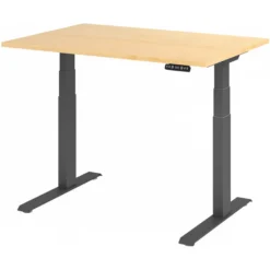 XDKB 12 G | Schreibtisch 120 x 80 elektrisch höhenverstellbar Ahorn