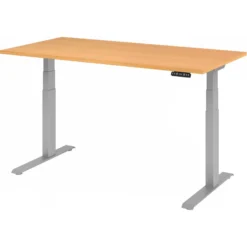 XDKB 16 S | Schreibtisch 160 x 80 elektrisch höhenverstellbar Buche