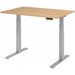 XDKB 12 S | Schreibtisch 120 x 80 elektrisch höhenverstellbar Eiche