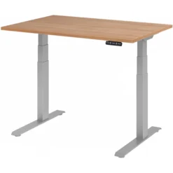 XDKB 12 S | Schreibtisch 120 x 80 elektrisch höhenverstellbar Nussbaum