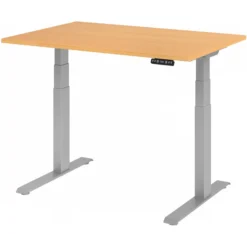XDKB 12 S | Schreibtisch 120 x 80 elektrisch höhenverstellbar Buche