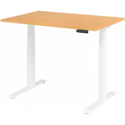 XDKB 12 W | Schreibtisch 120 x 80 elektrisch höhenverstellbar Buche