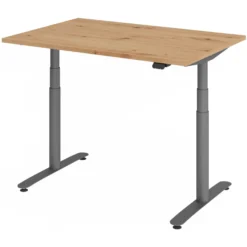 XDLR 12 G | Schreibtisch 120 x 80 elektrisch höhenverstellbar Asteiche