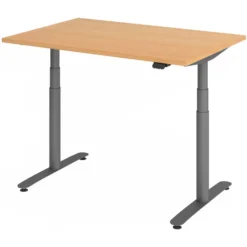 XDLR 12 G | Schreibtisch 120 x 80 elektrisch höhenverstellbar Buche