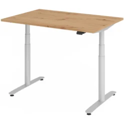 XDLR 12 S | Schreibtisch 120 x 80 elektrisch höhenverstellbar Asteiche