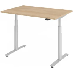 XDLR 12 S | Schreibtisch 120 x 80 elektrisch höhenverstellbar Eiche