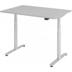 XDLR 12 S | Schreibtisch 120 x 80 elektrisch höhenverstellbar Grau