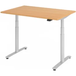 XDLR 12 S | Schreibtisch 120 x 80 elektrisch höhenverstellbar Buche