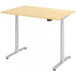 XDLR 12 S | Schreibtisch 120 x 80 elektrisch höhenverstellbar Ahorn