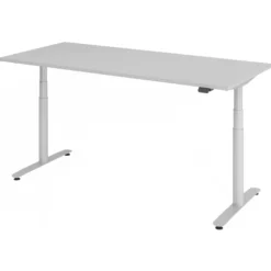 XDLR 19 S | Schreibtisch 180 x 80 elektrisch höhenverstellbar Grau
