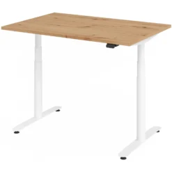 XDLR 12 W | Schreibtisch 120 x 80 elektrisch höhenverstellbar Asteiche