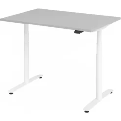XDLR 12 W | Schreibtisch 120 x 80 elektrisch höhenverstellbar Grau