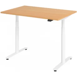 XDLR 12 W | Schreibtisch 120 x 80 elektrisch höhenverstellbar Buche