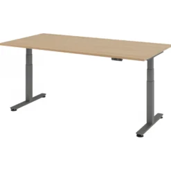 XDSM 2E G | Schreibtisch 200 x 100 elektrisch höhenverstellbar Eiche