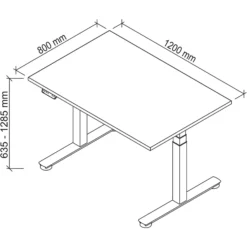 XDSM 12 G | Schreibtisch 120 x 80 elektrisch höhenverstellbar Grau