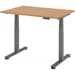 XDSM 12 G | Schreibtisch 120 x 80 elektrisch höhenverstellbar Nussbaum
