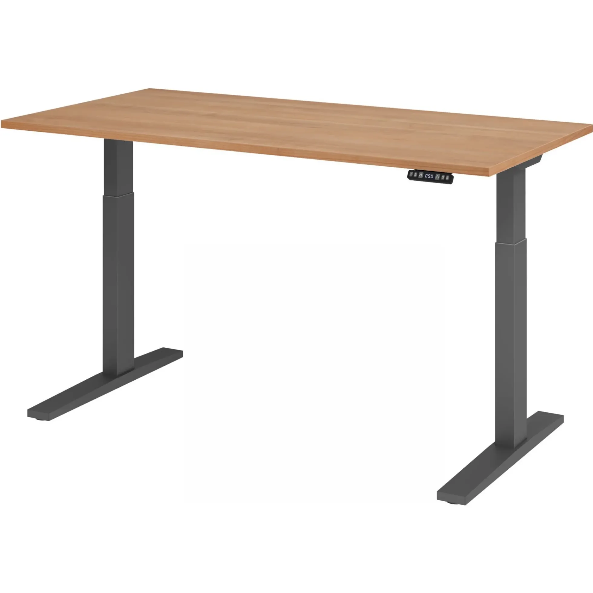 XMKA 16 G | Schreibtisch 160 x 80 elektrisch höhenverstellbar Nussbaum